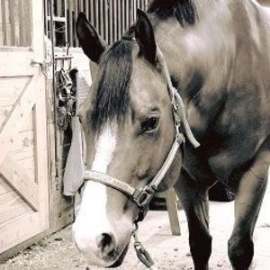 Meet your Posher, Nancy